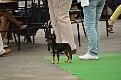 dsc_0345.jpg