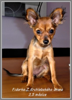 fidorka---3-5-mesice-...2.jpg