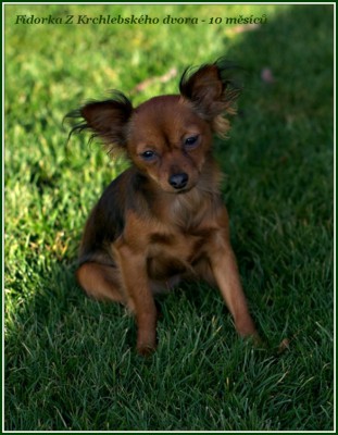 fidorka-10-mesicu.jpeg