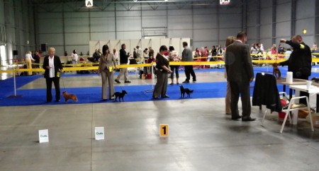 praha-mvp-6.5.2012-031.jpg