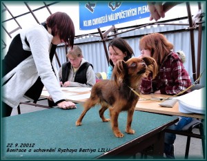 bonitace22.9.2012-018.jpg