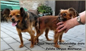 28.7.2013--ch---2-mesice-154.jpg